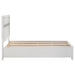 Miranda Panel Platform Storage Bed - De Avenue Furniture