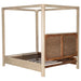 Solano Canopy Panel Platform Bed - De Avenue Furniture