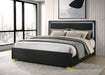 Marceline Panel Bed with LED Lighting - De Avenue Furniture