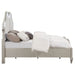 Evangeline Panel Bed with LED Lighting - De Avenue Furniture