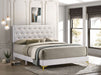 Kendall Panel Bed - De Avenue Furniture