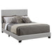 Dorian Panel Bed - De Avenue Furniture