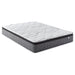 Hayes Medium Plush Pillow Top Hybrid Mattress - De Avenue Furniture