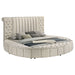 Sonya Panel Floor Storage Bed - De Avenue Furniture