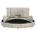 Sonya Panel Floor Storage Bed - De Avenue Furniture