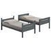 Littleton Bunk Bed - De Avenue Furniture