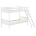 Littleton Bunk Bed - De Avenue Furniture