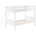 Littleton Bunk Bed - De Avenue Furniture