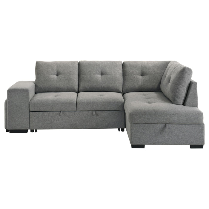 Roanne Pull-Out Sleeper Sectional Sofa - De Avenue Furniture