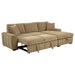 Pastrana Pull-Out Sleeper Sectional Sofa - De Avenue Furniture