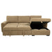 Pastrana Pull-Out Sleeper Sectional Sofa - De Avenue Furniture