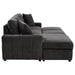 Pastrana Pull-Out Sleeper Sectional Sofa - De Avenue Furniture