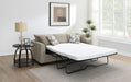 Storey Fold-Out Sleeper Sectional Sofa - De Avenue Furniture