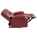 Camila Reclining Loveseat - De Avenue Furniture
