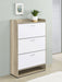 Denia Shoe Cabinet - De Avenue Furniture