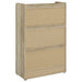 Denia Shoe Cabinet - De Avenue Furniture