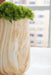 Cammen Vase - De Avenue Furniture