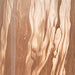 Dushby Vase - De Avenue Furniture
