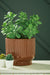 Avalyah Vase - De Avenue Furniture