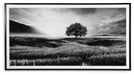 Deborland Wall Art - De Avenue Furniture