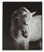 Archerwick Wall Art - De Avenue Furniture