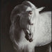 Archerwick Wall Art - De Avenue Furniture