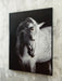 Archerwick Wall Art - De Avenue Furniture