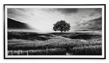 Deborland Wall Art - De Avenue Furniture