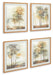 Bryneford Wall Art (Set of 4) - De Avenue Furniture