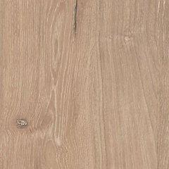 Cielden Bedroom Set - De Avenue Furniture