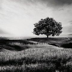 Deborland Wall Art - De Avenue Furniture