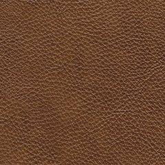 Baskove Sectional with Chaise - De Avenue Furniture