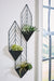 Dashney Wall Planter On Stand - De Avenue Furniture