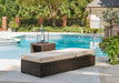 Coastline Bay Outdoor Chaise Lounge with Cushion - De Avenue Furniture