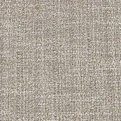 Beach Front Arm Chair with Cushion (Set of 2) - De Avenue Furniture