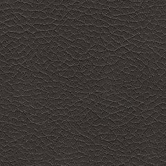 Nokomis 2-Piece Sectional with Chaise - De Avenue Furniture