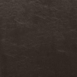 Kimonte Dining Chair - De Avenue Furniture