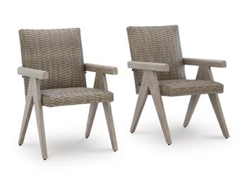 Cliff Trails Outdoor Arm Chair (Set of 2) - De Avenue Furniture