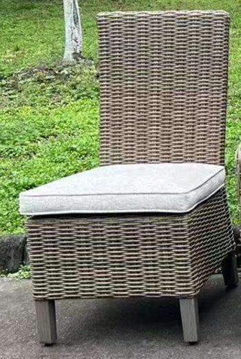 Laguna Heights Side Chair with Cushion (Set of 2) - De Avenue Furniture