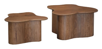 Abeford Accent Coffee Table (Set of 2) - De Avenue Furniture