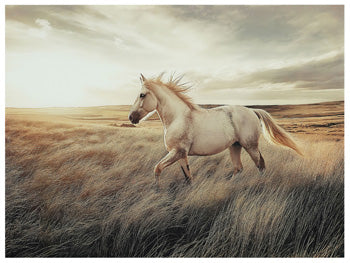 Errolville Wall Art - De Avenue Furniture