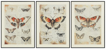 Jossletts Wall Art (Set of 3) - De Avenue Furniture